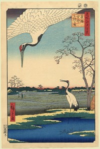 :cranes at minowa,kanasugi 100 views of edo
