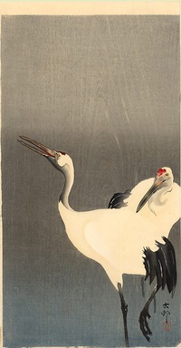 koson:two-white-cranes:1910