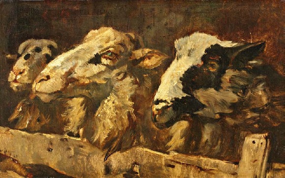 nat van der:schapen op stal